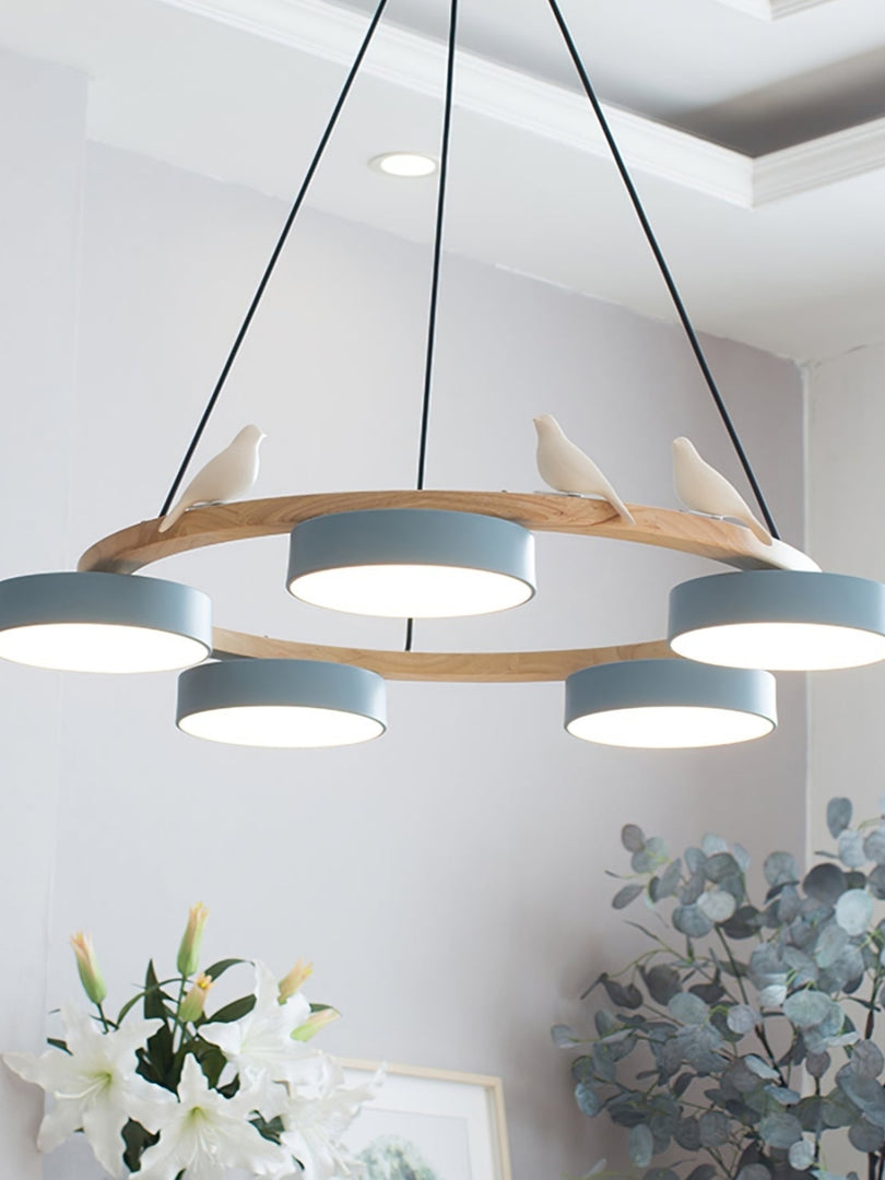 Modern Creative Colourful Circle Bird Chandelier