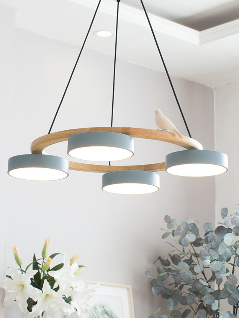 Modern Creative Colourful Circle Bird Chandelier