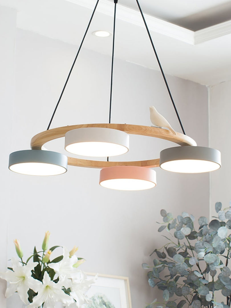 Modern Creative Colourful Circle Bird Chandelier