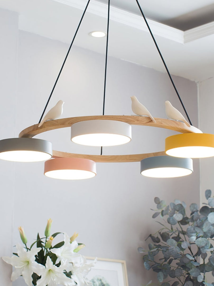 Modern Creative Colourful Circle Bird Chandelier