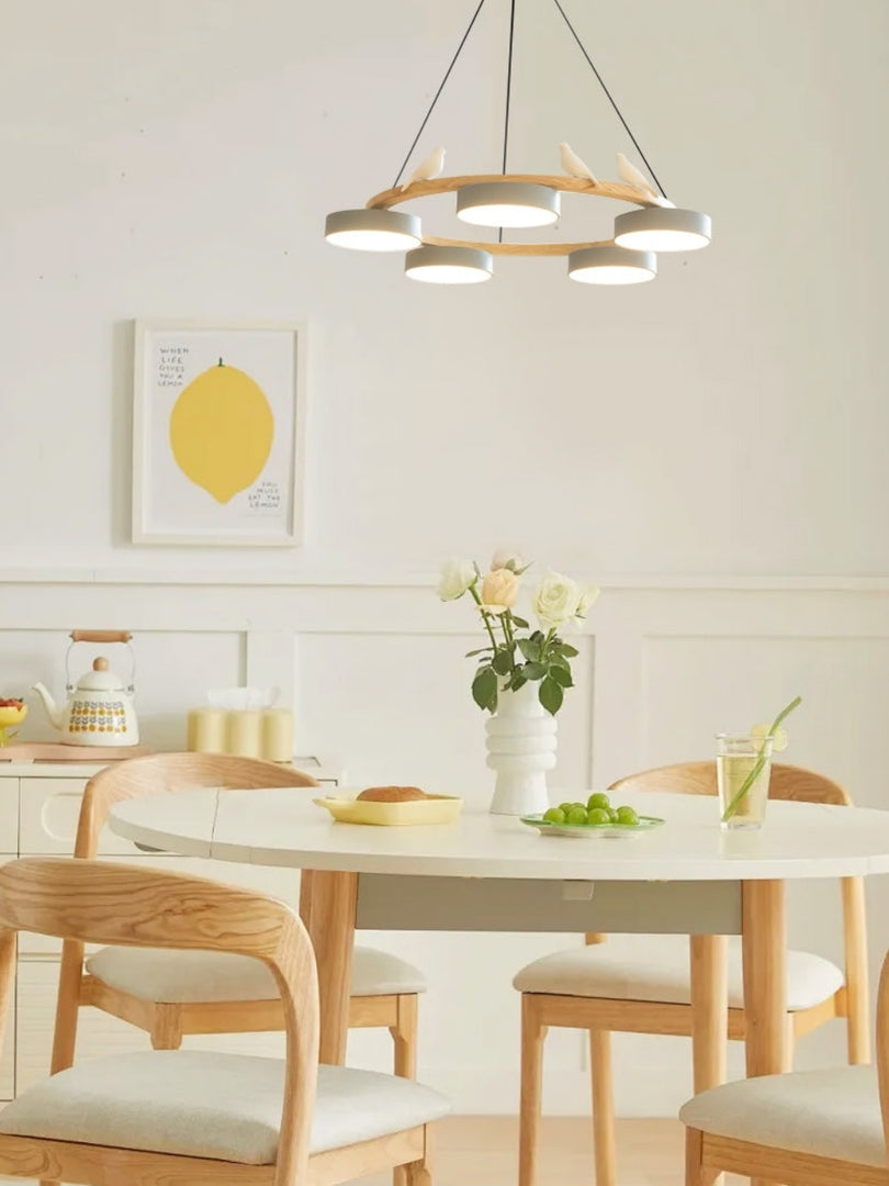 Modern Creative Colourful Circle Bird Chandelier