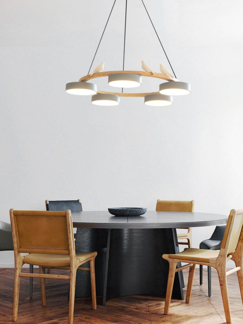 Modern Creative Colourful Circle Bird Chandelier