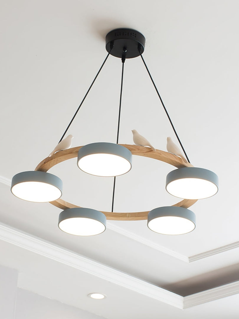 Modern Creative Colourful Circle Bird Chandelier