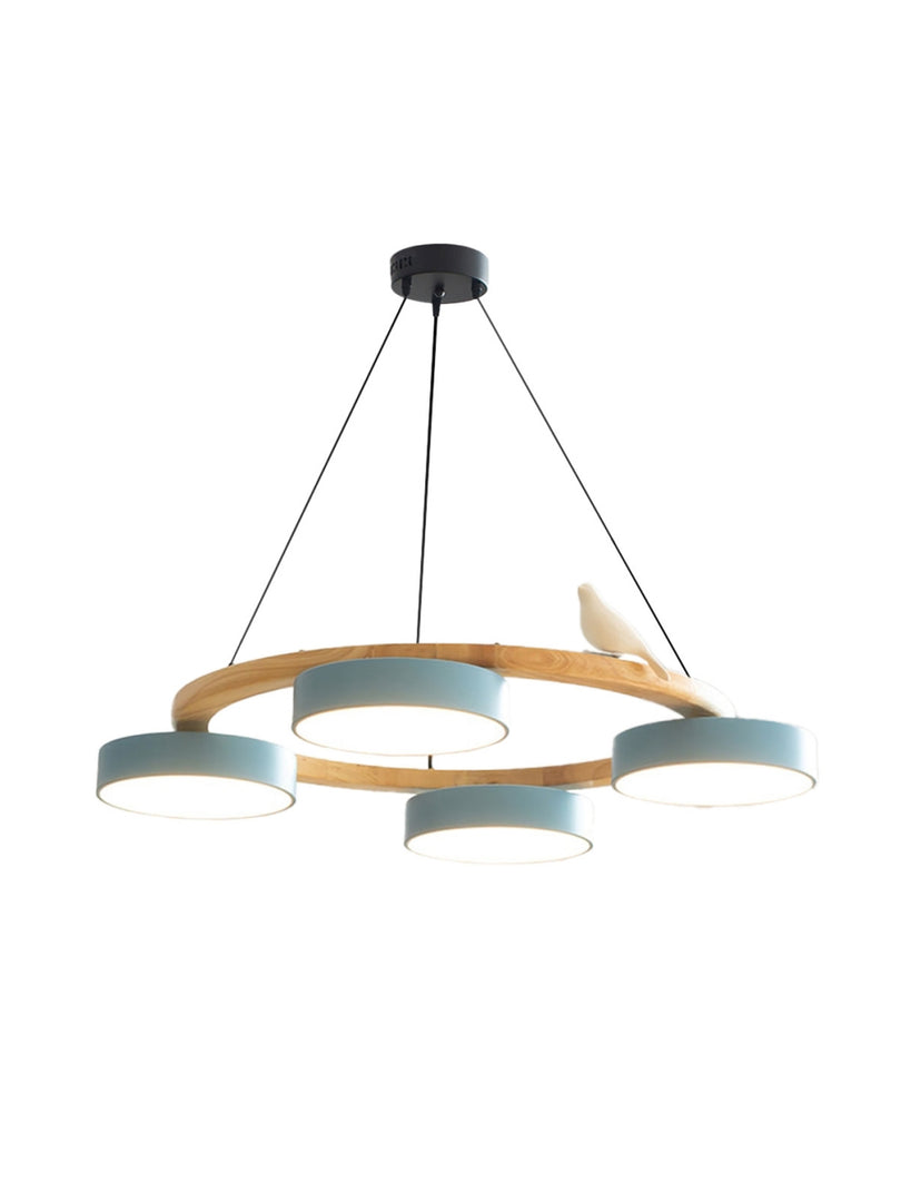 Modern Creative Colourful Circle Bird Chandelier