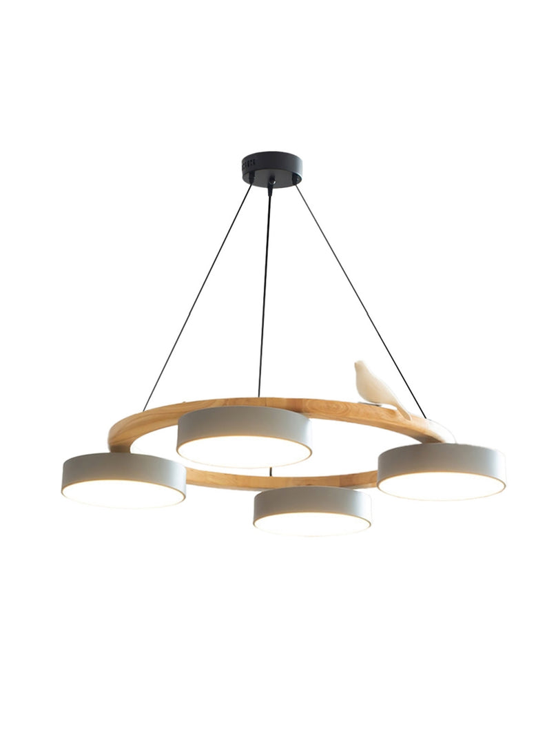 Modern Creative Colourful Circle Bird Chandelier