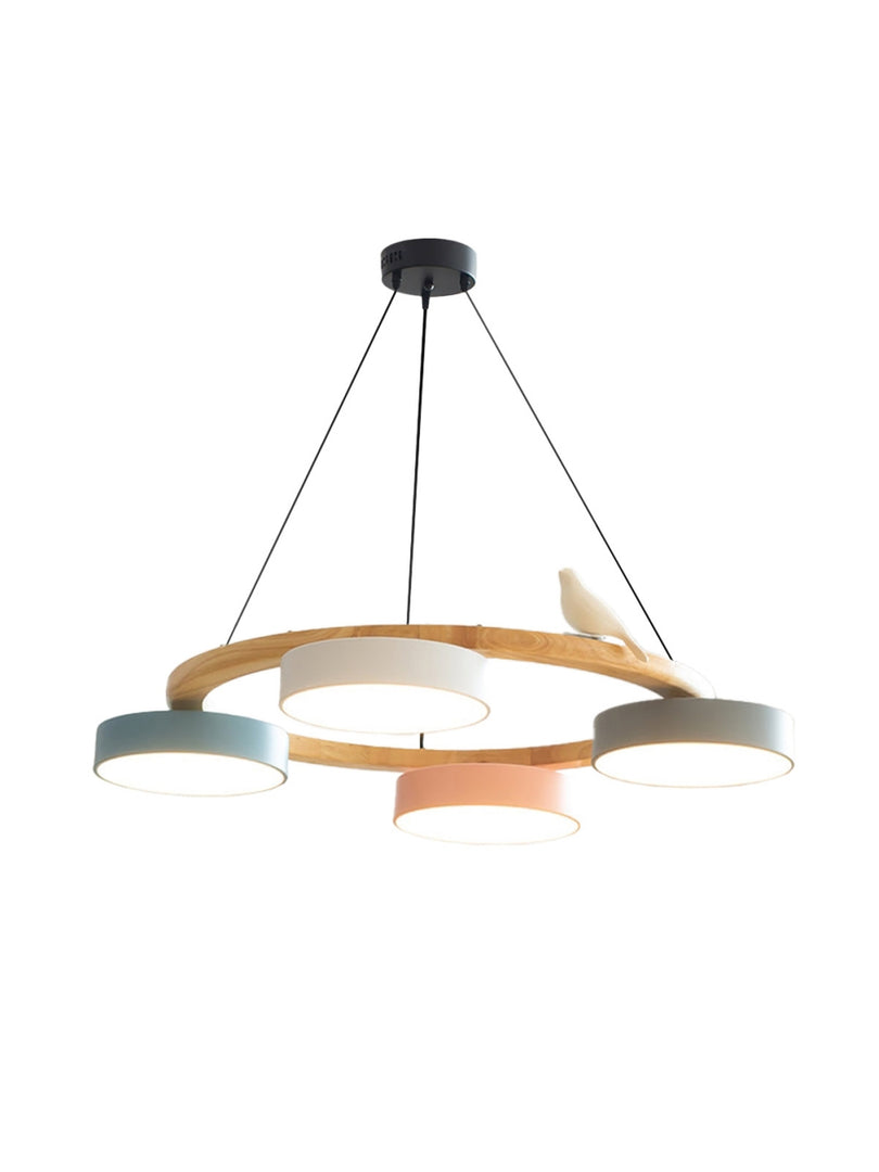 Modern Creative Colourful Circle Bird Chandelier