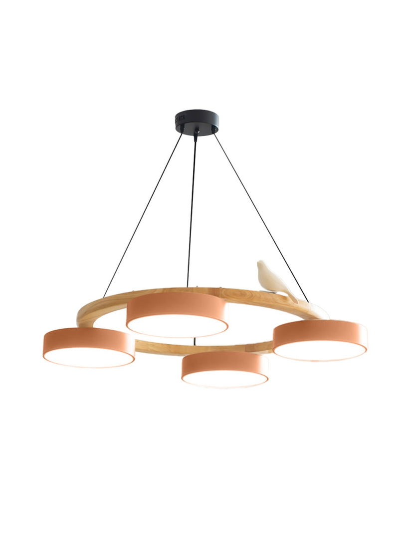 Modern Creative Colourful Circle Bird Chandelier