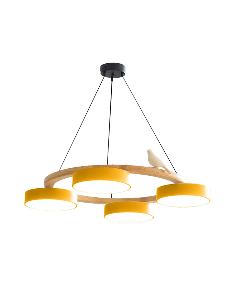 Modern Creative Colourful Circle Bird Chandelier