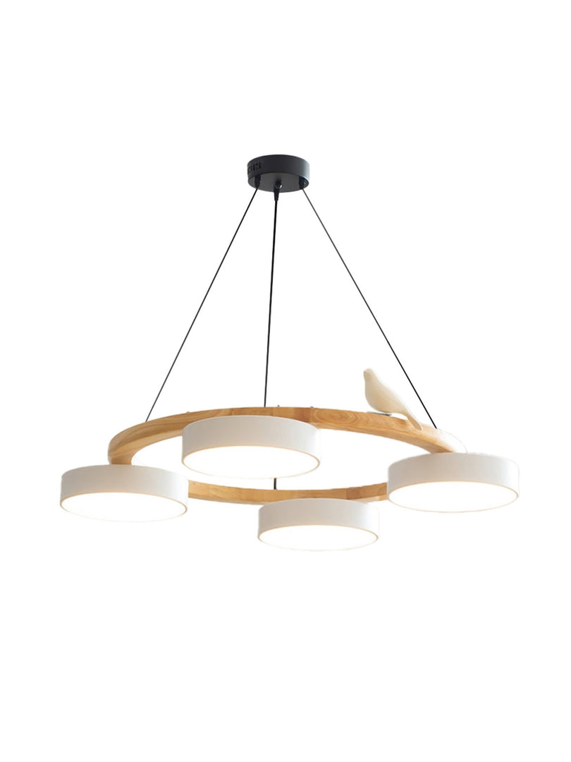 Modern Creative Colourful Circle Bird Chandelier