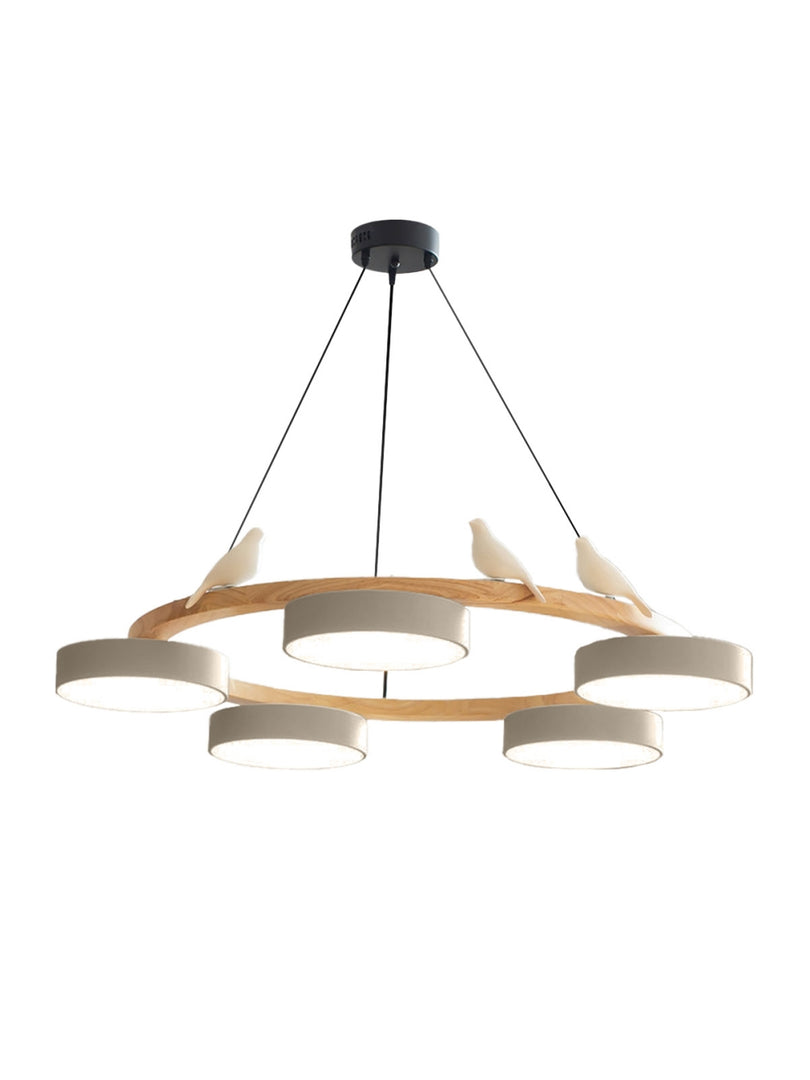 Modern Creative Colourful Circle Bird Chandelier