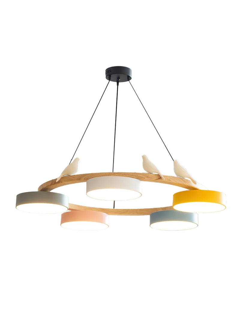 Modern Creative Colourful Circle Bird Chandelier