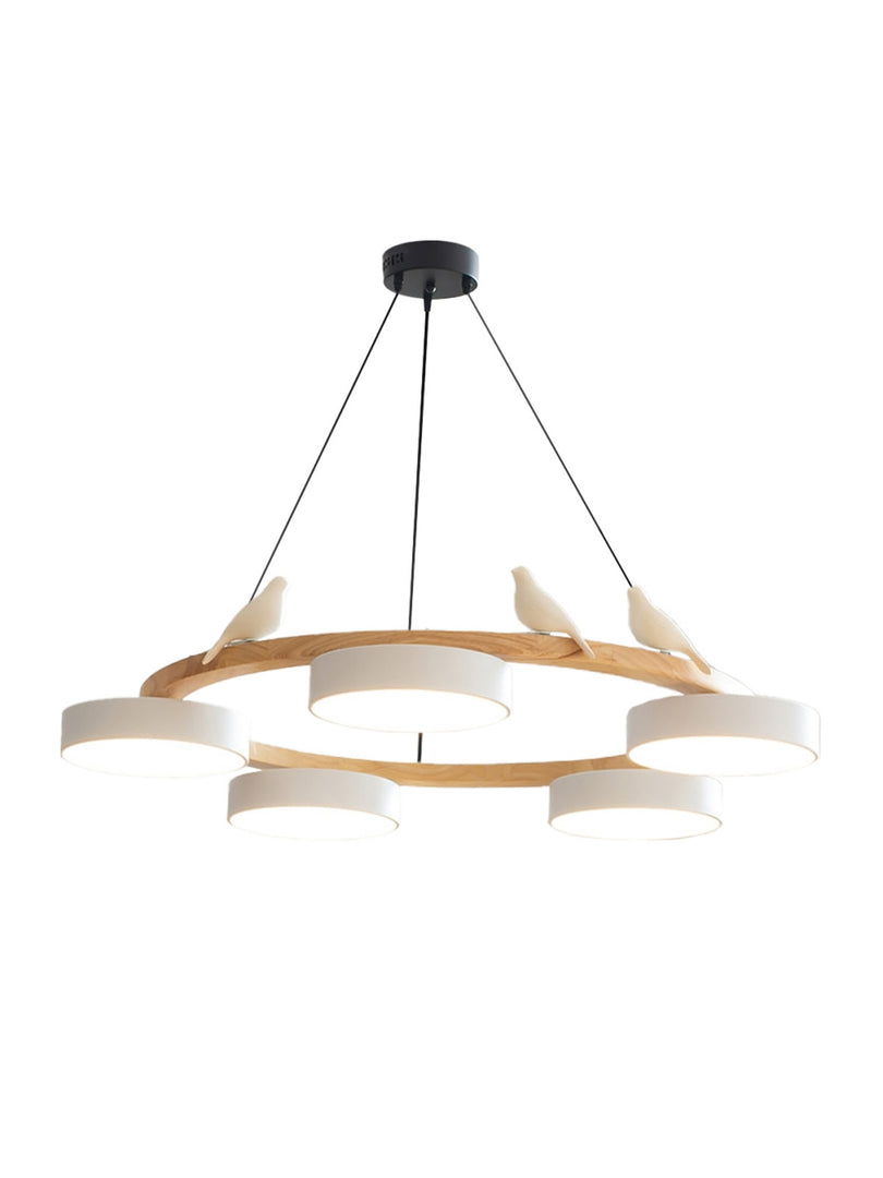 Modern Creative Colourful Circle Bird Chandelier